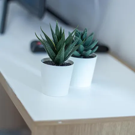 Familybo Ristori Fiera Boloňa