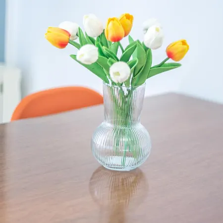 Familybo Ristori Fiera *